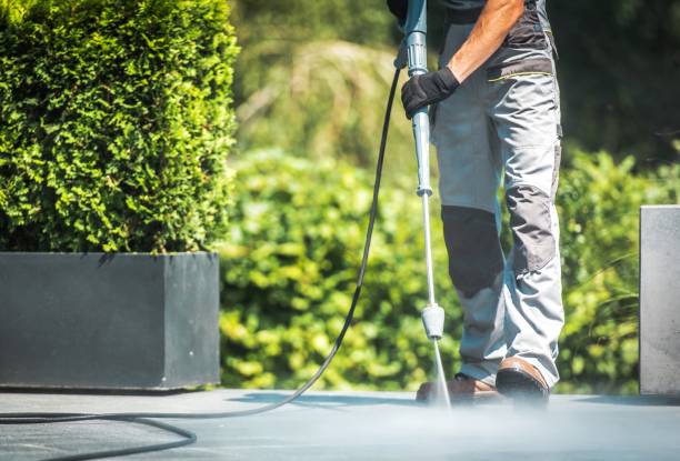 Best Rust Removal  in Webster, FL