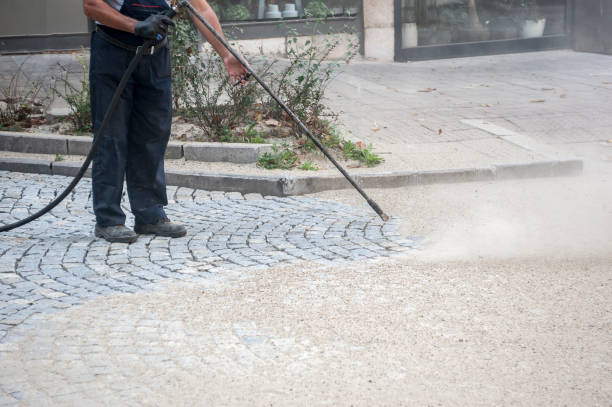 Best Patio and Deck Pressure Washing  in Webster, FL