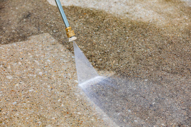 Best Winterizing Services  in Webster, FL